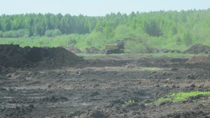 torf43