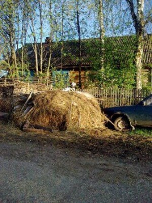 с Москвичом.jpg