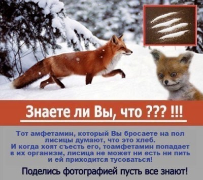 -XKCZpsbaoI.jpg
