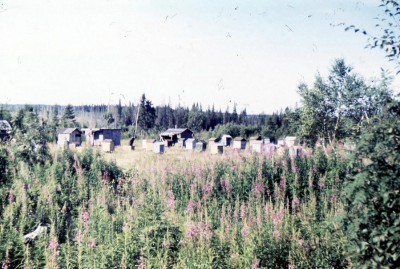 ульи.jpg