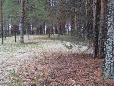 IMG_3567.jpg