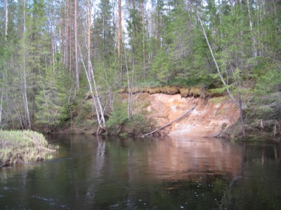IMG_3728.jpg
