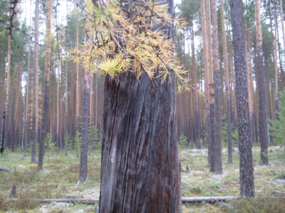IMG_8277.jpg