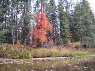 IMG_4716.jpg