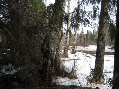 IMG_6142.jpg