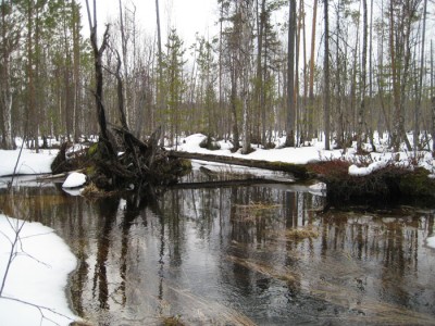 IMG_6225.jpg
