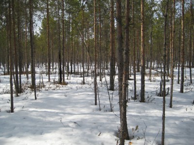 IMG_6212.jpg