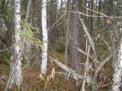 IMG_1887.jpg