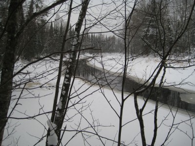 IMG_5007.jpg
