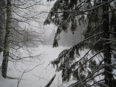 IMG_5911.jpg