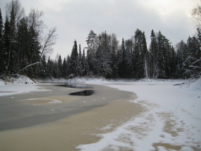 IMG_5033.jpg