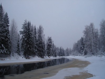 DSC09984.jpg
