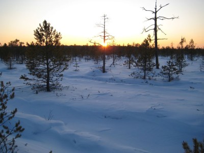IMG_5196.jpg