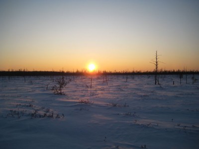 IMG_5195.jpg