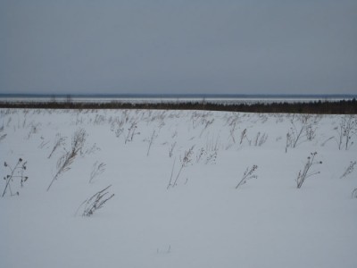 IMG_5787.jpg