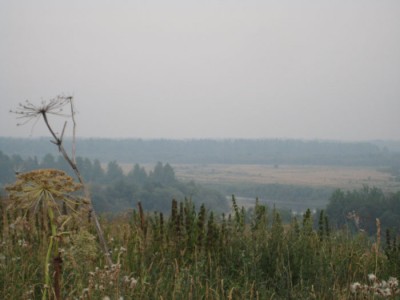 IMG_7485.jpg