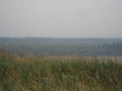 IMG_7488.jpg