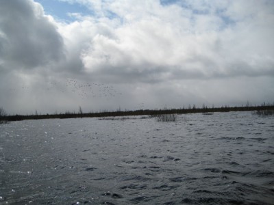 IMG_0765.jpg