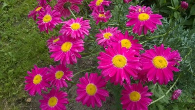 WP_20150615_005.jpg