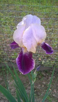 WP_20150621_004.jpg