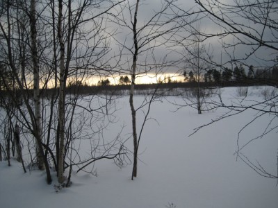 IMG_2975.jpg