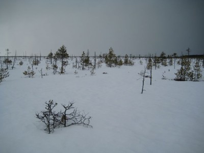 IMG_3159.jpg