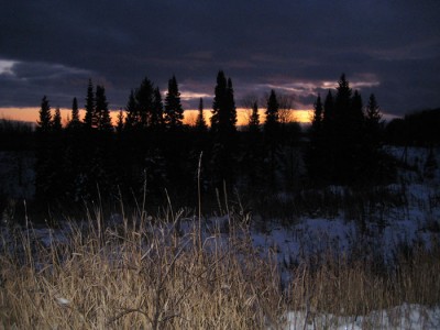 IMG_2177.jpg