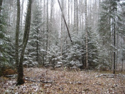 IMG_8386.jpg