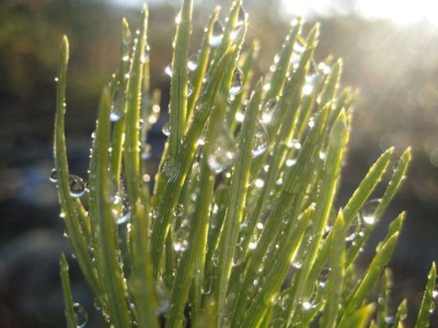 IMG_8584.jpg