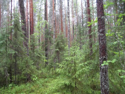 _MG_4028.jpg