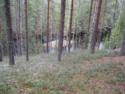 IMG_3762.jpg