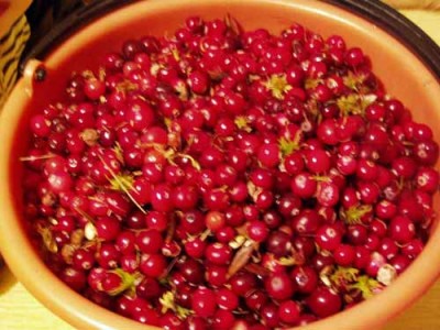 клюковка.jpg