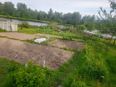 20260531_174719[1].jpg